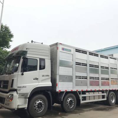 專業之選，安全高效 蘭州市東風天龍鋁合金畜禽運輸車全解析