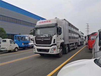 現(xiàn)代化畜禽運(yùn)輸配套解決方案 衡水半掛運(yùn)輸車、簡易裝豬臺與自動消毒設(shè)備